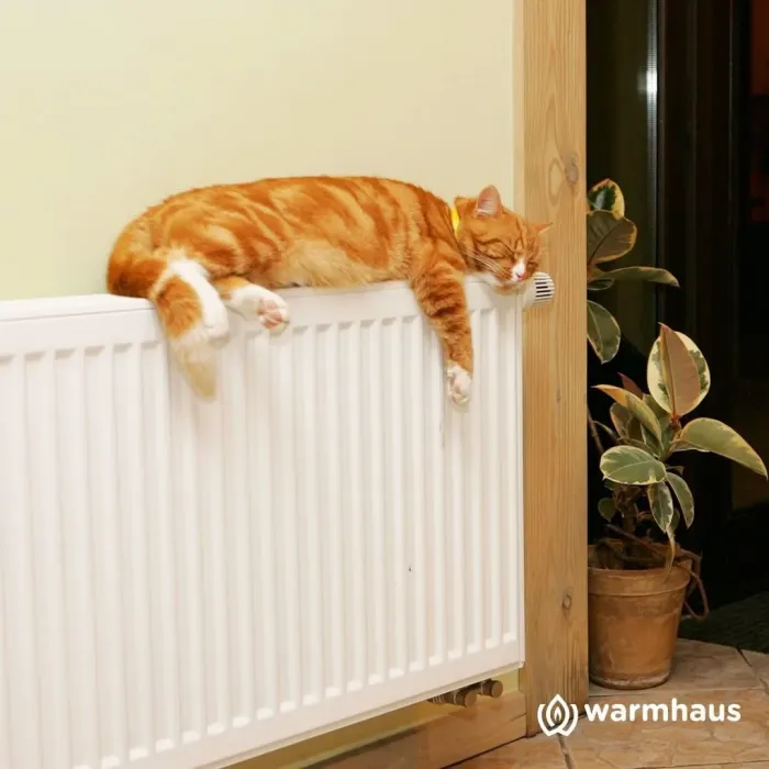 Радиатор Warmhaus стальной панельный 500х22х800 бок